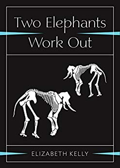 Free: Two Elephants Work Out