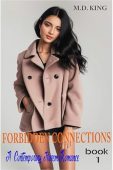 Forbidden Connections: A Contemporary Harem Romance Book 1